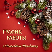 Режим работы в праздничные дни!